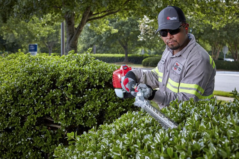 Man trimming a hedge with a RedMax hedge trimmer